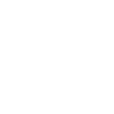 Verify Passport