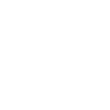 Verify Voter ID